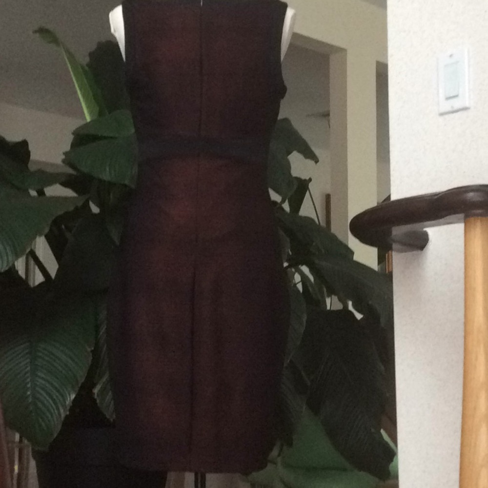 Cache Dress - Picture 2 of 7